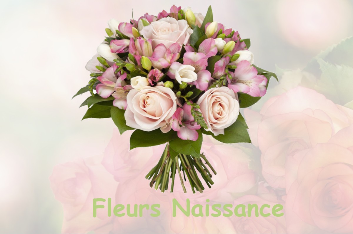 fleurs naissance NEUVY-SAINT-SEPULCHRE